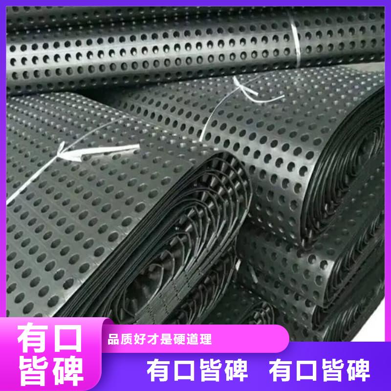 排水板40mm厚疏水板有实力有经验