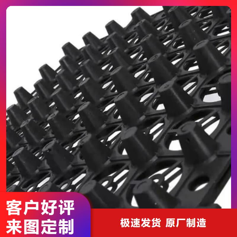 排水板30mm厚滤水板工厂采购