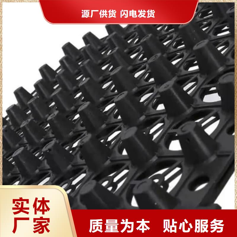 排水板_40mm厚疏水板用心制造