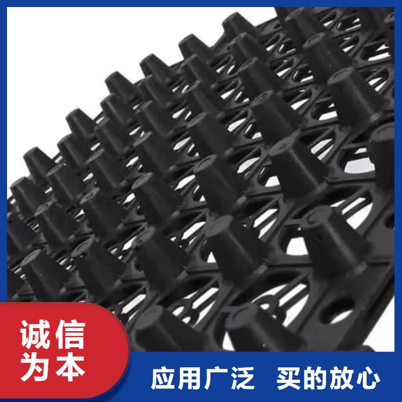 排水板_塑料疏水板市场报价