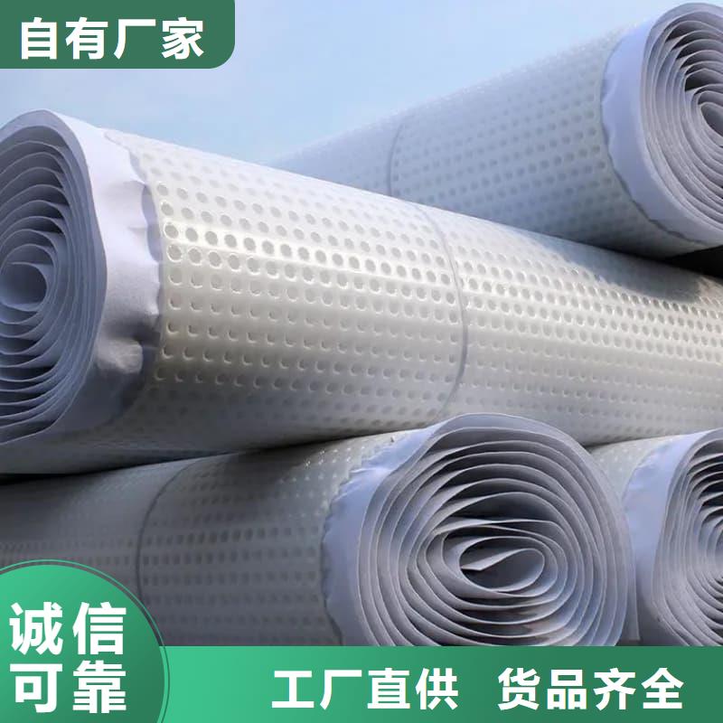 排水板30mm厚滤水板工厂采购