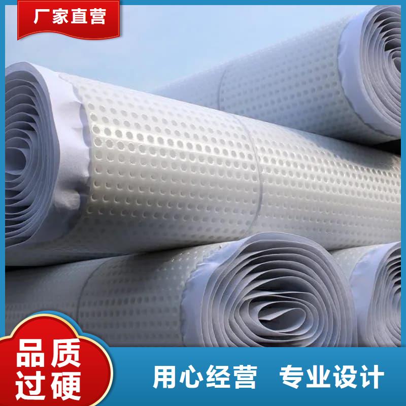 排水板50mm厚排水板产地源头好货