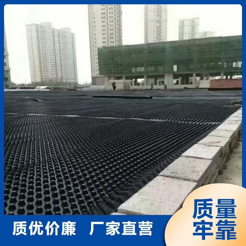 排水板40mm厚排水板一站式采购商家