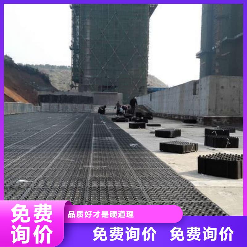 排水板30mm厚滤水板长期供应