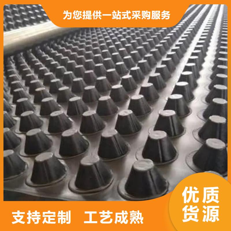 排水板50mm厚疏水板工艺精细质保长久