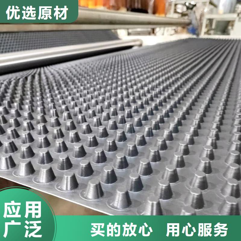 排水板30mm厚滤水板工厂采购