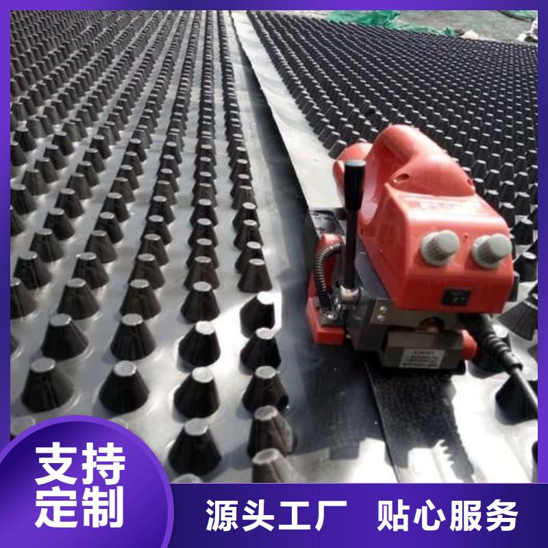 排水板20mm厚疏水板信誉至上