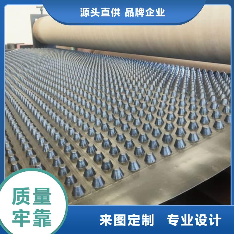 排水板20mm厚滤水板出厂价