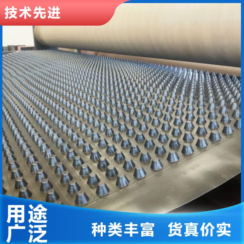 排水板30mm厚滤水板货真价实