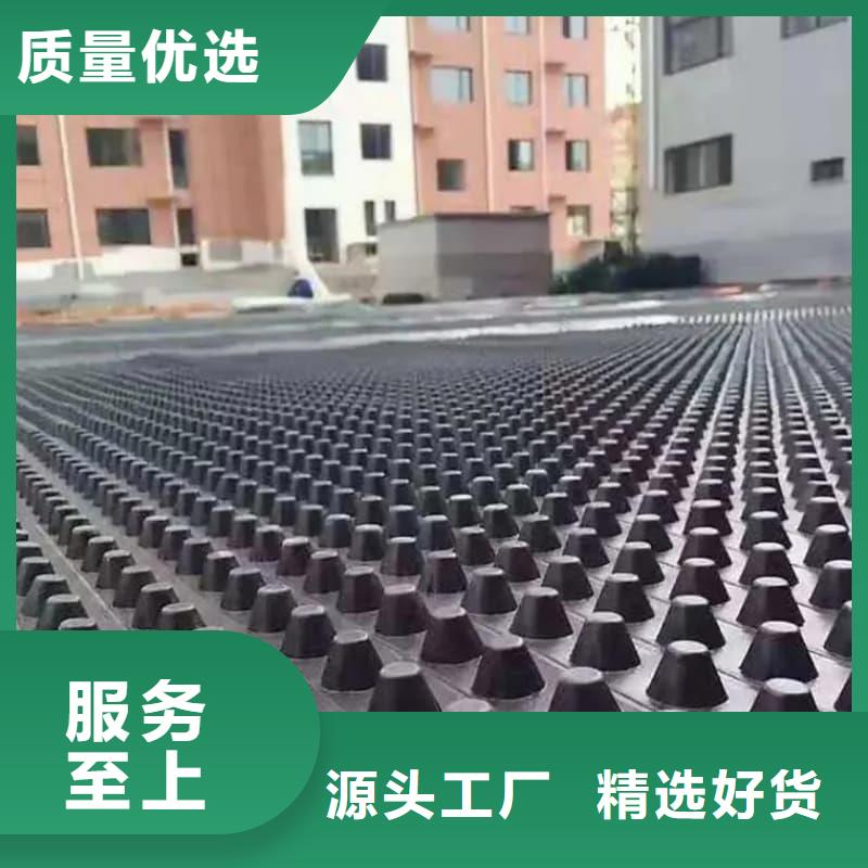 排水板50mm厚疏水板工艺精细质保长久