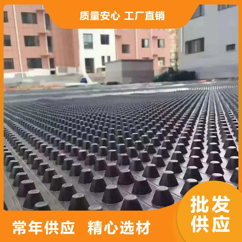 排水板,疏水板按需定制真材实料