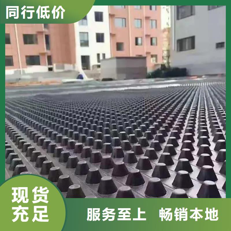 排水板40mm厚疏水板有实力有经验