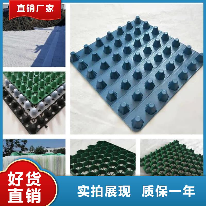 排水板_塑料疏水板市场报价