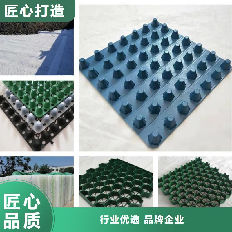 排水板30mm厚排水板库存齐全厂家直供