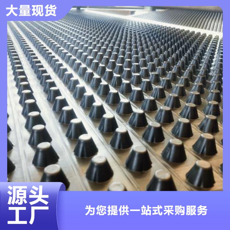 排水板40mm厚排水板一站式采购商家