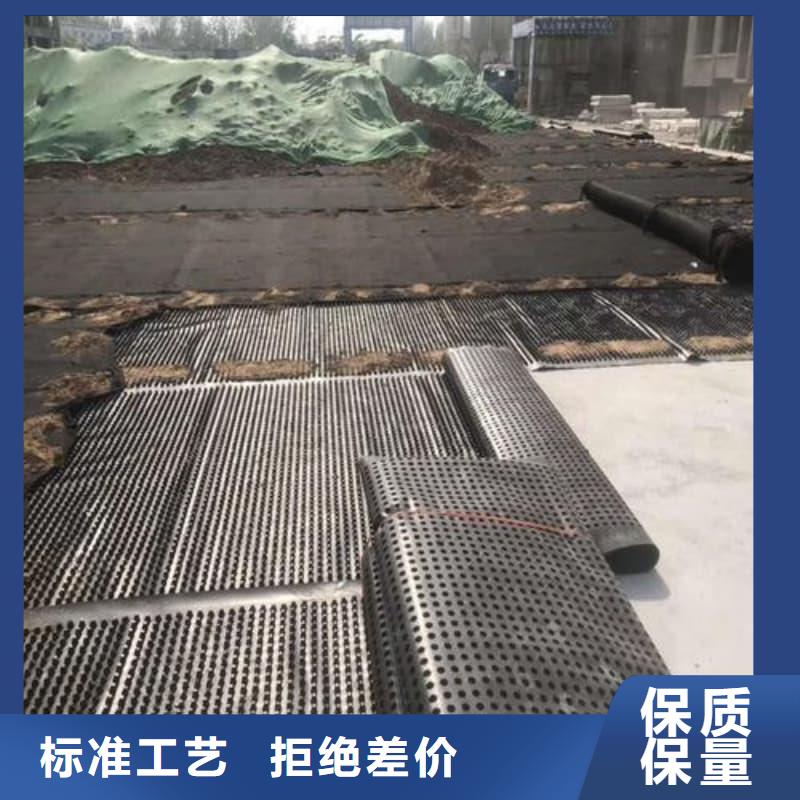 排水板_排水板48小时发货