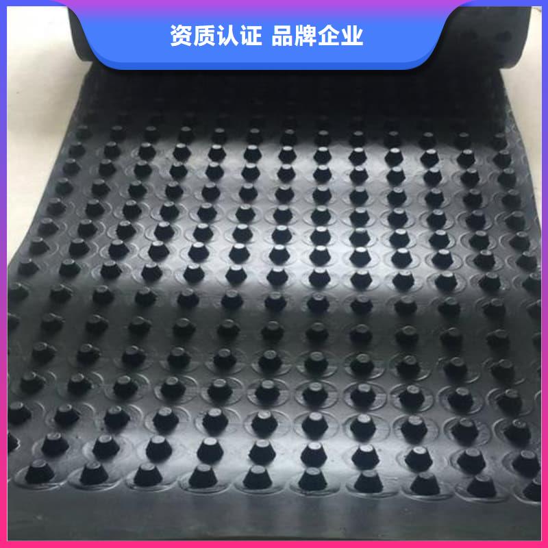 排水板50mm厚排水板专业生产制造厂