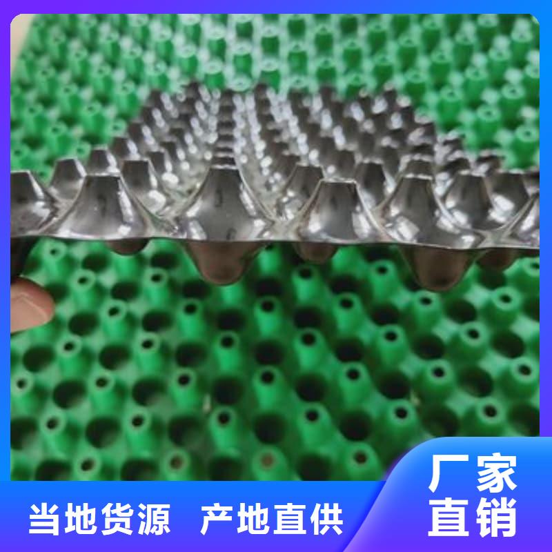 排水板60mm厚疏水板低价货源