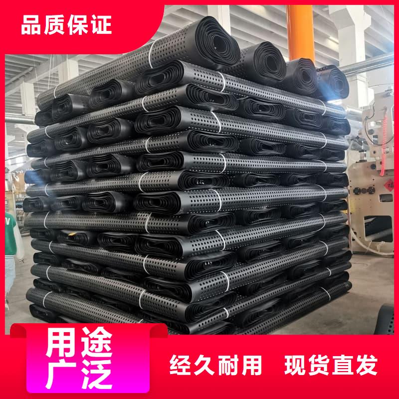 排水板30mm厚滤水板工厂采购