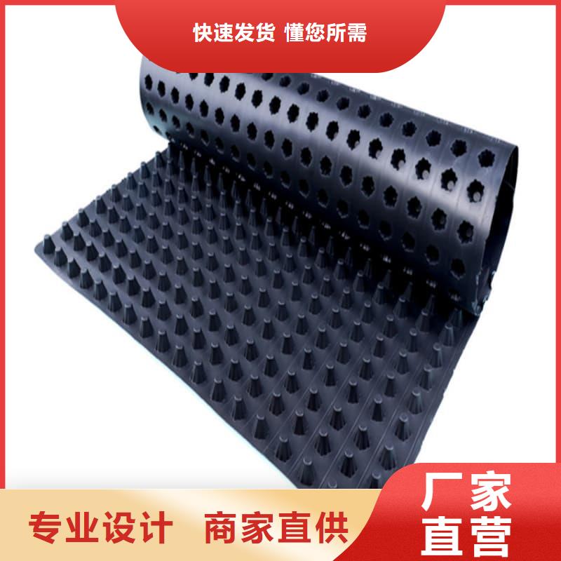 排水板30mm厚滤水板长期供应