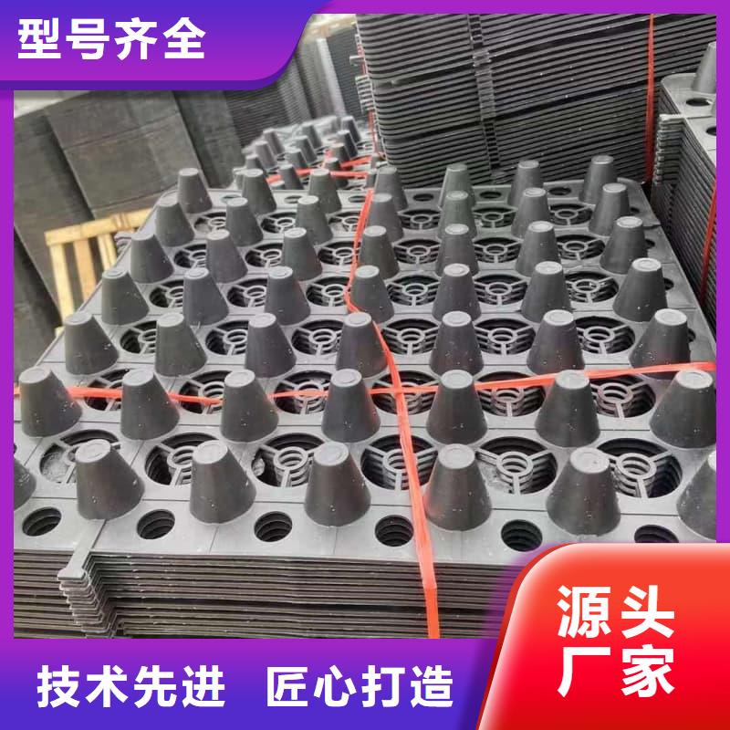 排水板20mm厚排水板来图加工定制