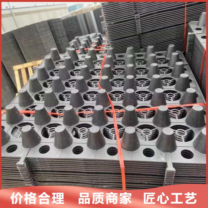 排水板20mm厚疏水板信誉至上