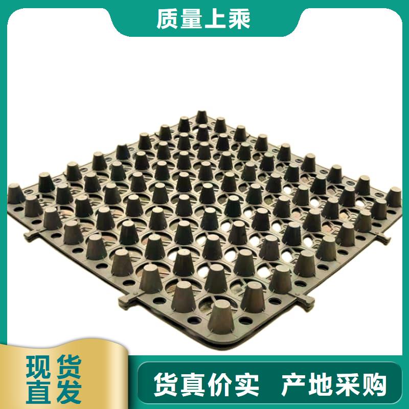 排水板20mm厚排水板来图加工定制