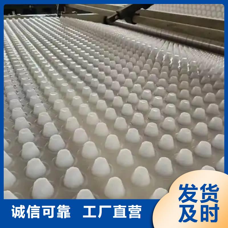 排水板30mm厚滤水板货真价实