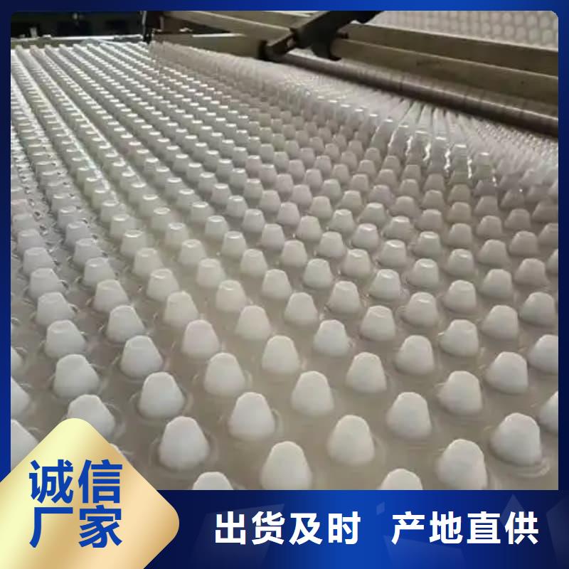 排水板20mm厚排水板来图加工定制