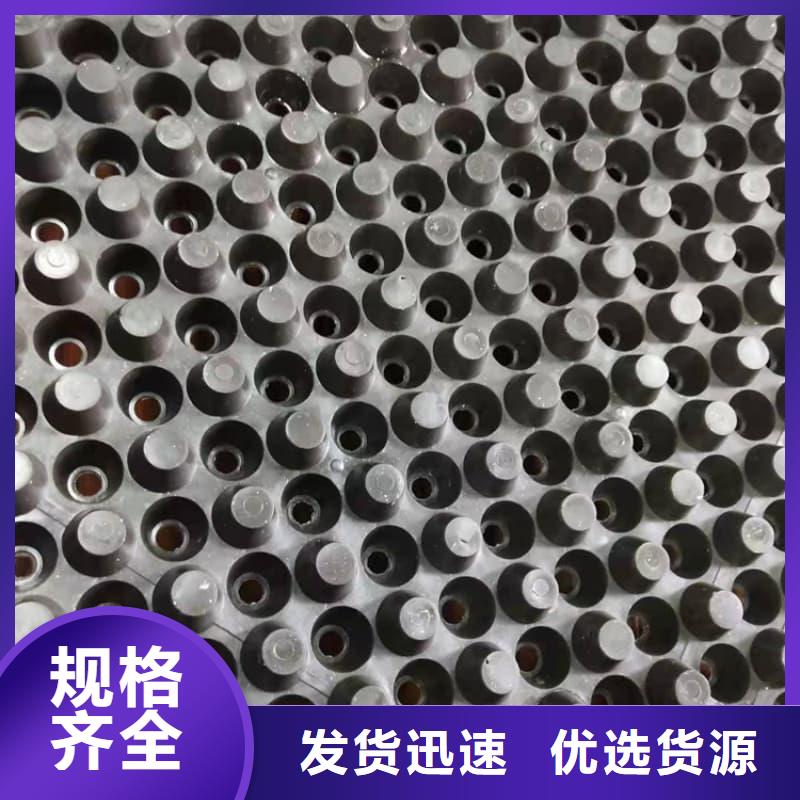 排水板30mm厚滤水板工厂采购