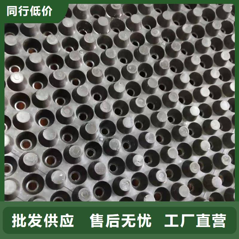 排水板滤水板工厂价格
