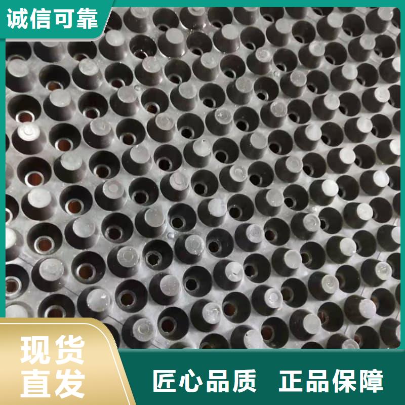 排水板40mm厚疏水板产品性能