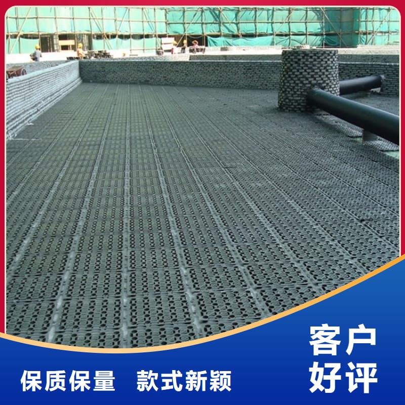 排水板_25mm厚排水板订制批发