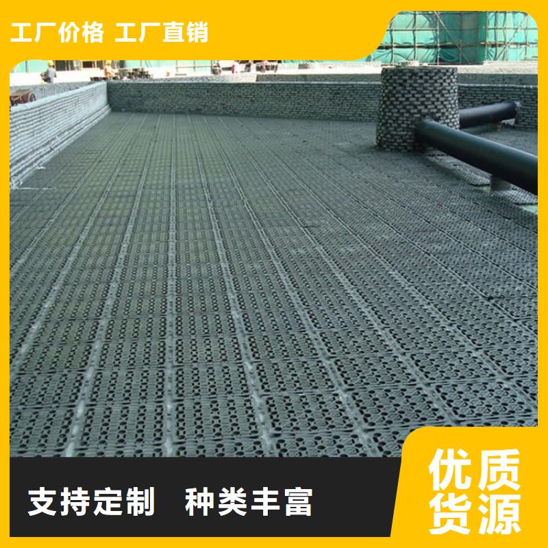 排水板30mm厚滤水板长期供应