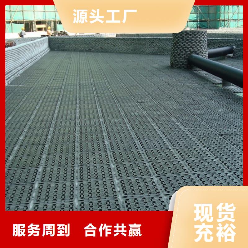 排水板_塑料疏水板市场报价