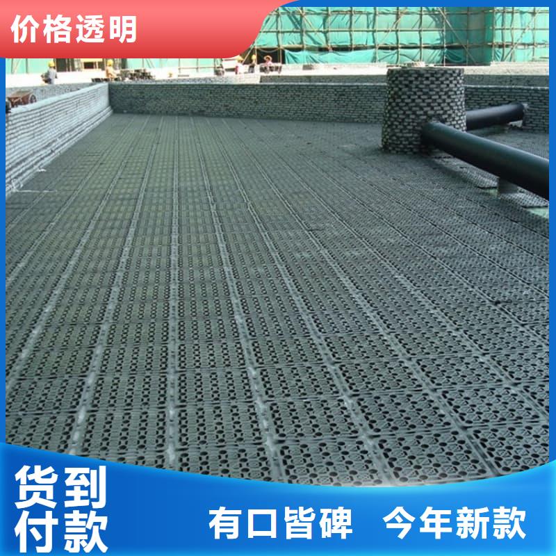 排水板排水板厂家自产自销