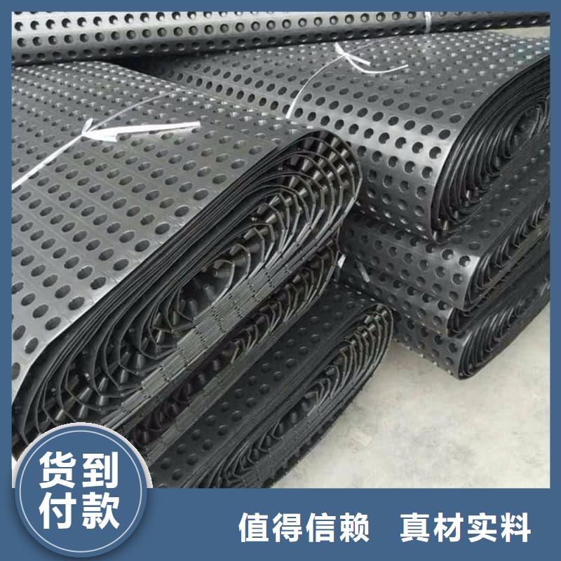 排水板20mm厚滤水板生产安装