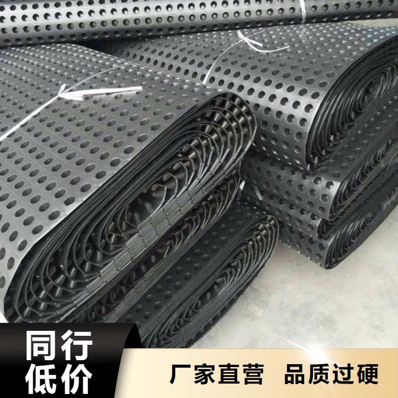 排水板30mm厚滤水板工厂采购