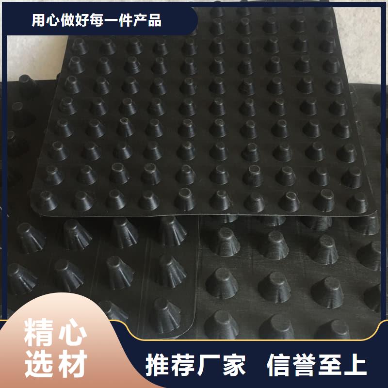 排水板排水板货源足质量好