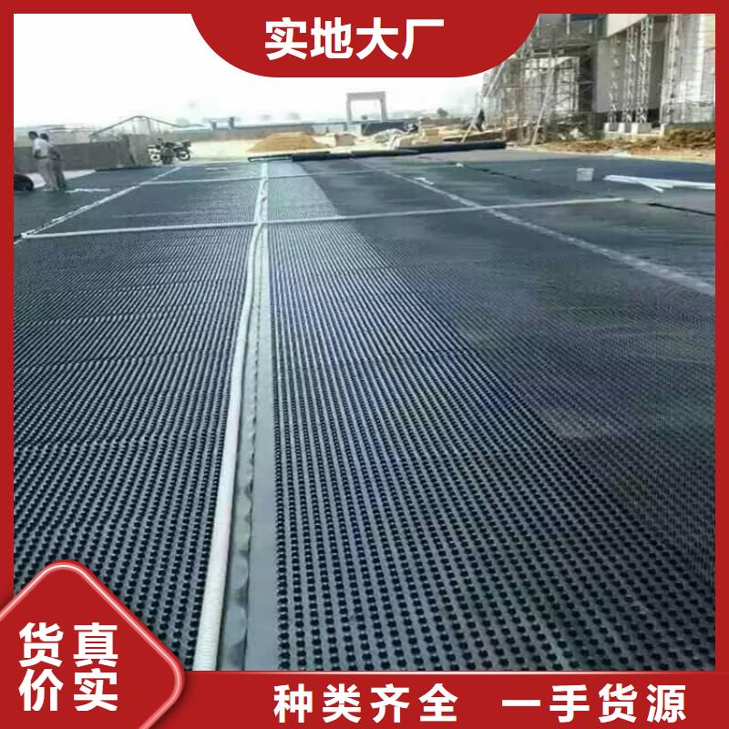 排水板30mm厚滤水板长期供应