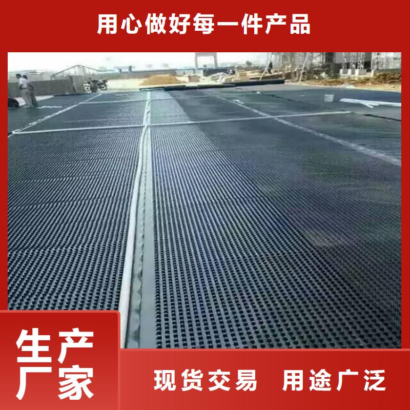 排水板20mm厚滤水板生产安装