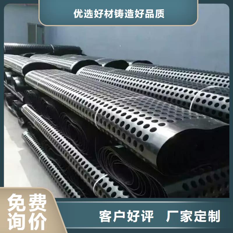 排水板_40mm厚疏水板用心制造