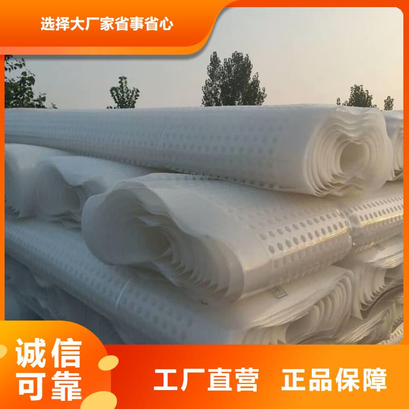 排水板40mm厚排水板定制定做