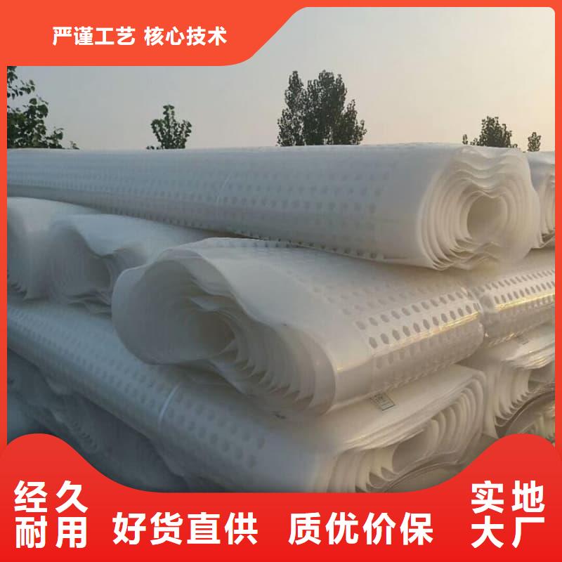 排水板20mm厚排水板来图加工定制