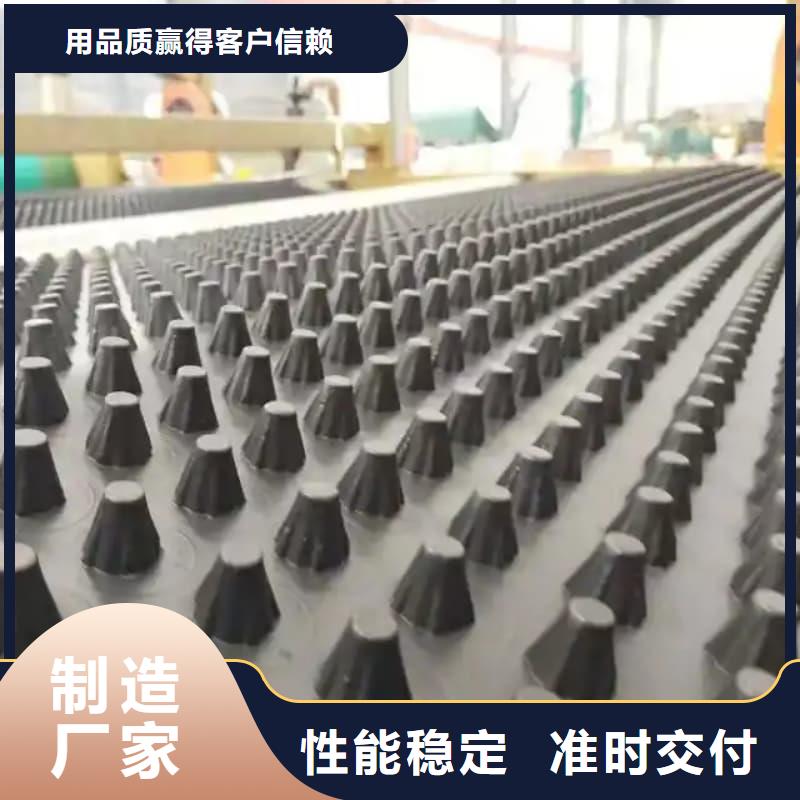 排水板20mm厚滤水板真实拍摄品质可靠