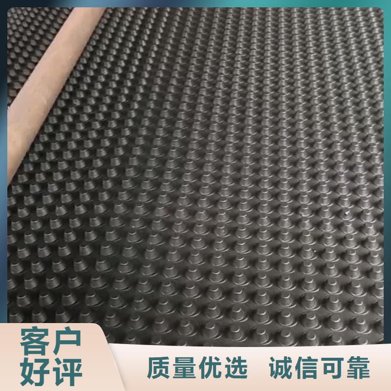 排水板20mm厚滤水板真实拍摄品质可靠