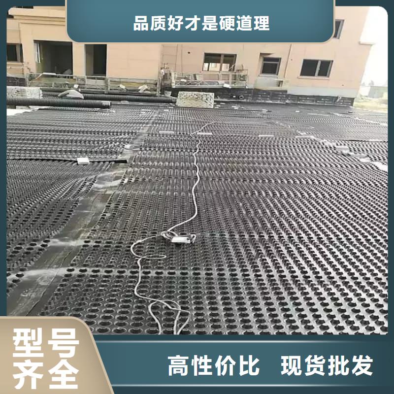 排水板20mm厚滤水板真实拍摄品质可靠