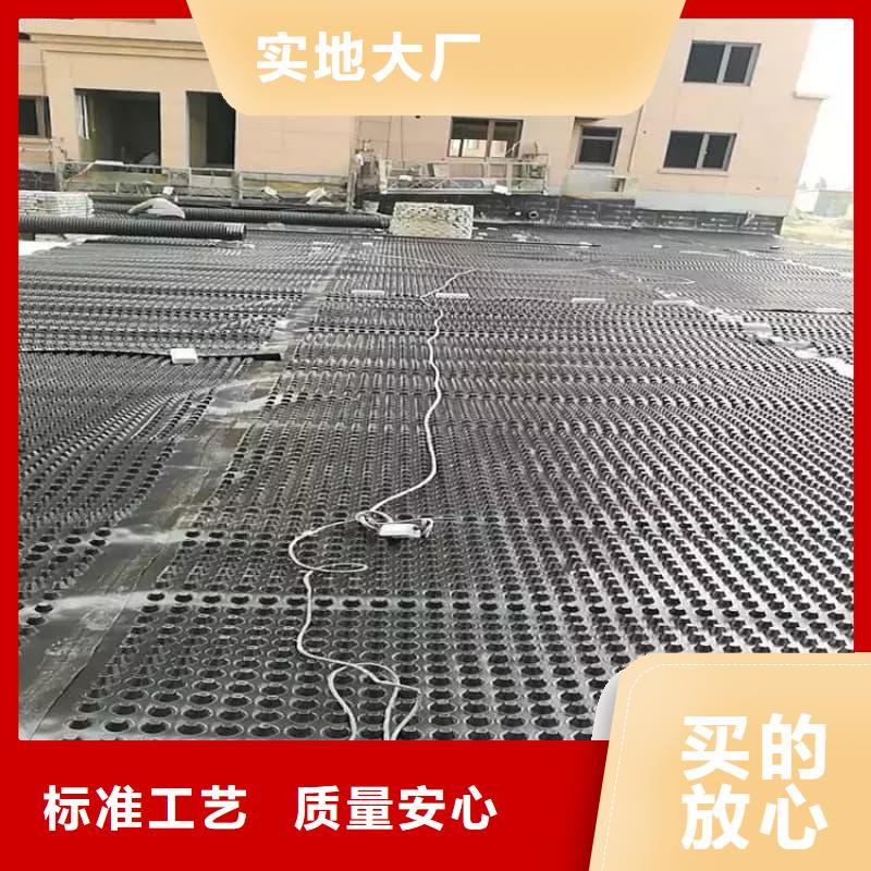 排水板_25mm厚排水板订制批发