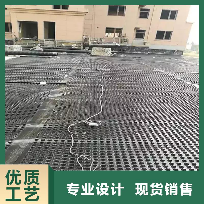 排水板50mm厚排水板产地源头好货