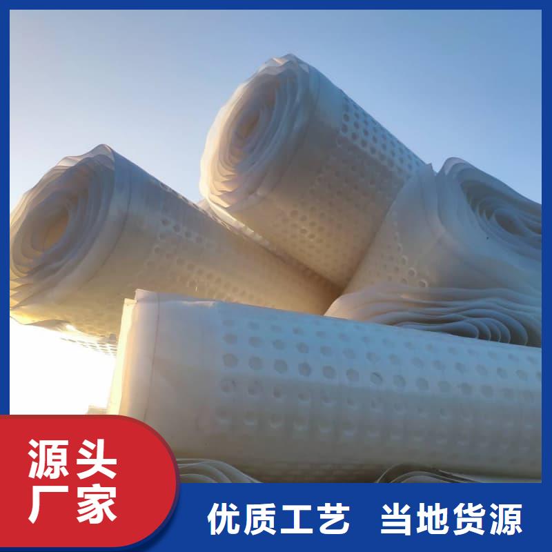 排水板20mm厚滤水板真实拍摄品质可靠